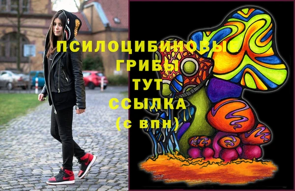 соль ск Аркадак