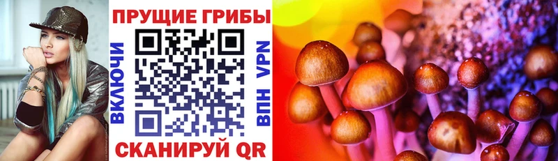Купить закладки Удачный Галлюциногенные грибы GOLDEN TEACHER